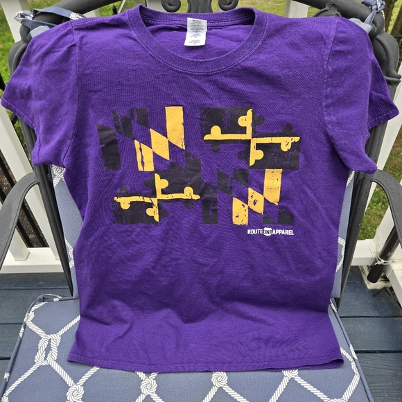 Route One Apparel Purple Distressed Maryland Flag Tee Ravens Colors Gildan Small - Picture 1 of 6